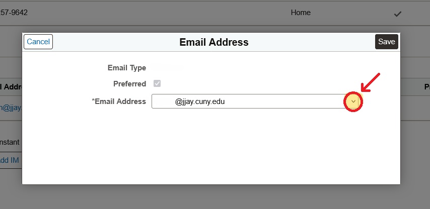 Email Configuration Panel